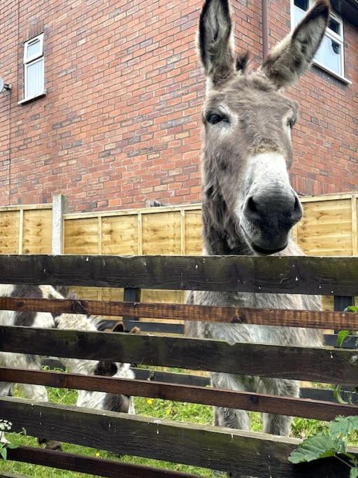 4 Bedroom - Sleep 9 Home In Cheadle Staffordshire - Alton Towers Polar Express Dimmingsdale Peak District Trentham Gardens Water World Eksteriør billede